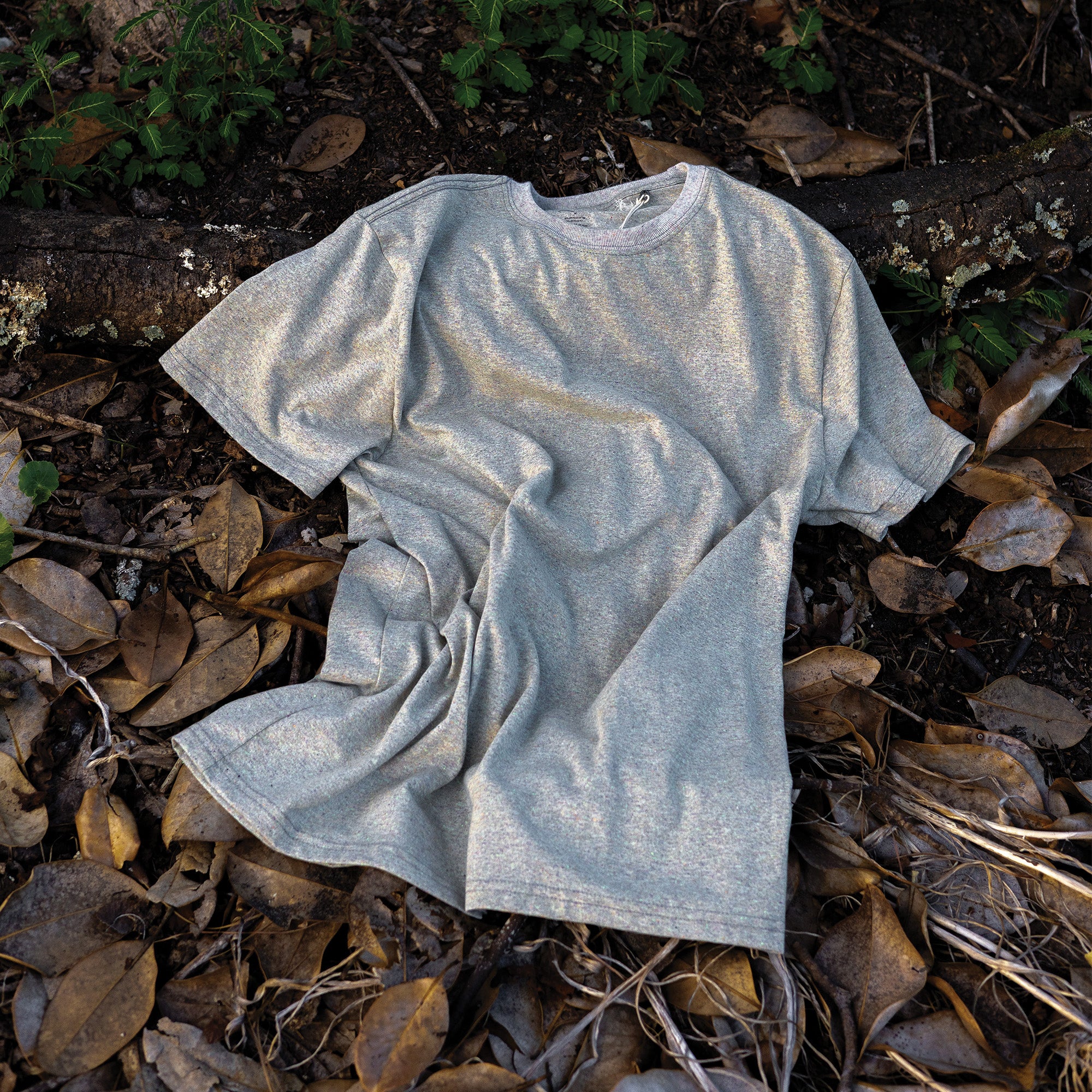 L.A.B. - EC100 - Firefly Eco T-Shirt - Image 3